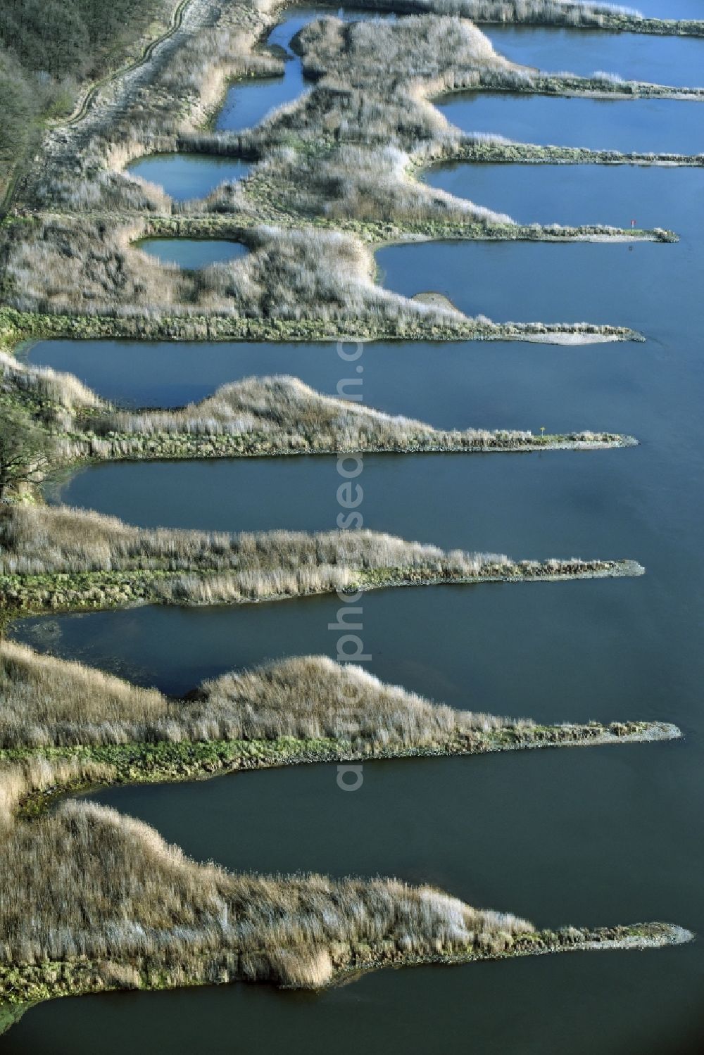 Frankfurt (Oder) from above - Groyne head of the Oder river course in Frankfurt (Oder) in the state Brandenburg