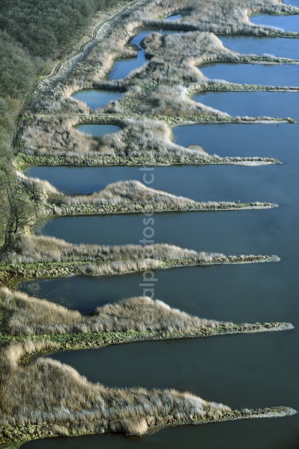 Frankfurt (Oder) from the bird's eye view: Groyne head of the Oder river course in Frankfurt (Oder) in the state Brandenburg