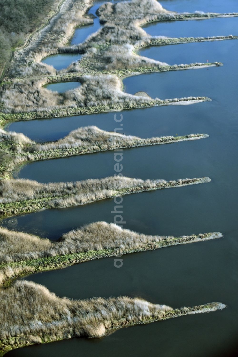 Aerial image Frankfurt (Oder) - Groyne head of the Oder river course in Frankfurt (Oder) in the state Brandenburg