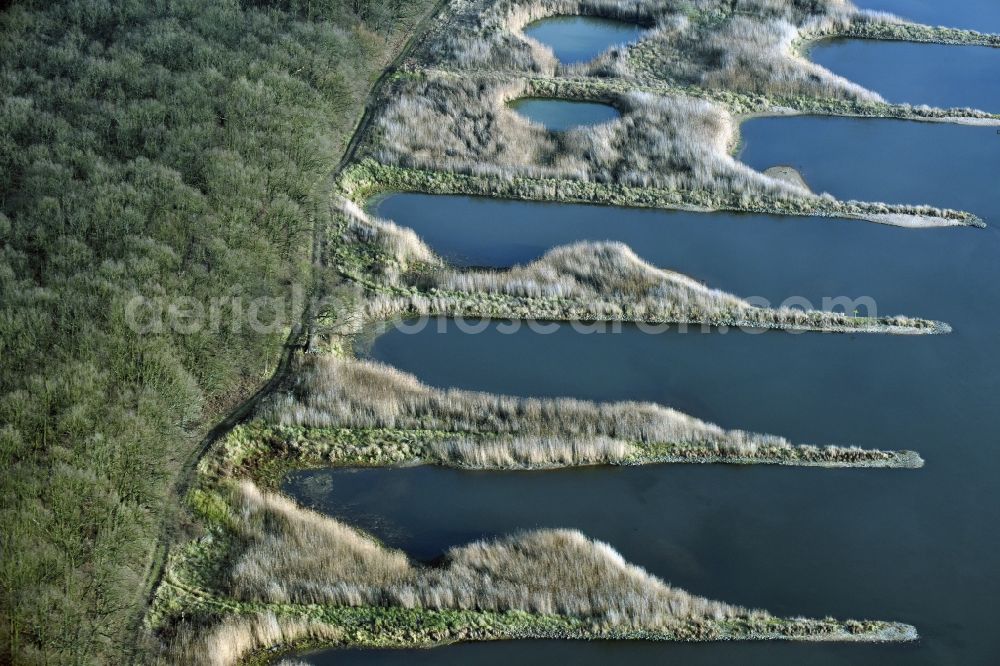 Aerial photograph Frankfurt (Oder) - Groyne head of the Oder river course in Frankfurt (Oder) in the state Brandenburg