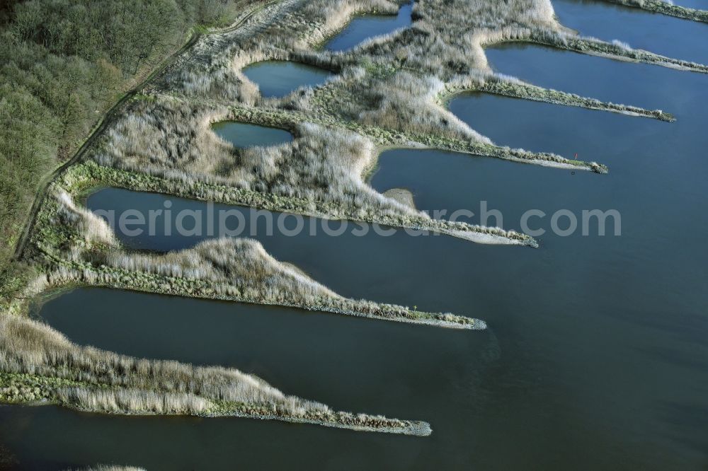 Frankfurt (Oder) from the bird's eye view: Groyne head of the Oder river course in Frankfurt (Oder) in the state Brandenburg