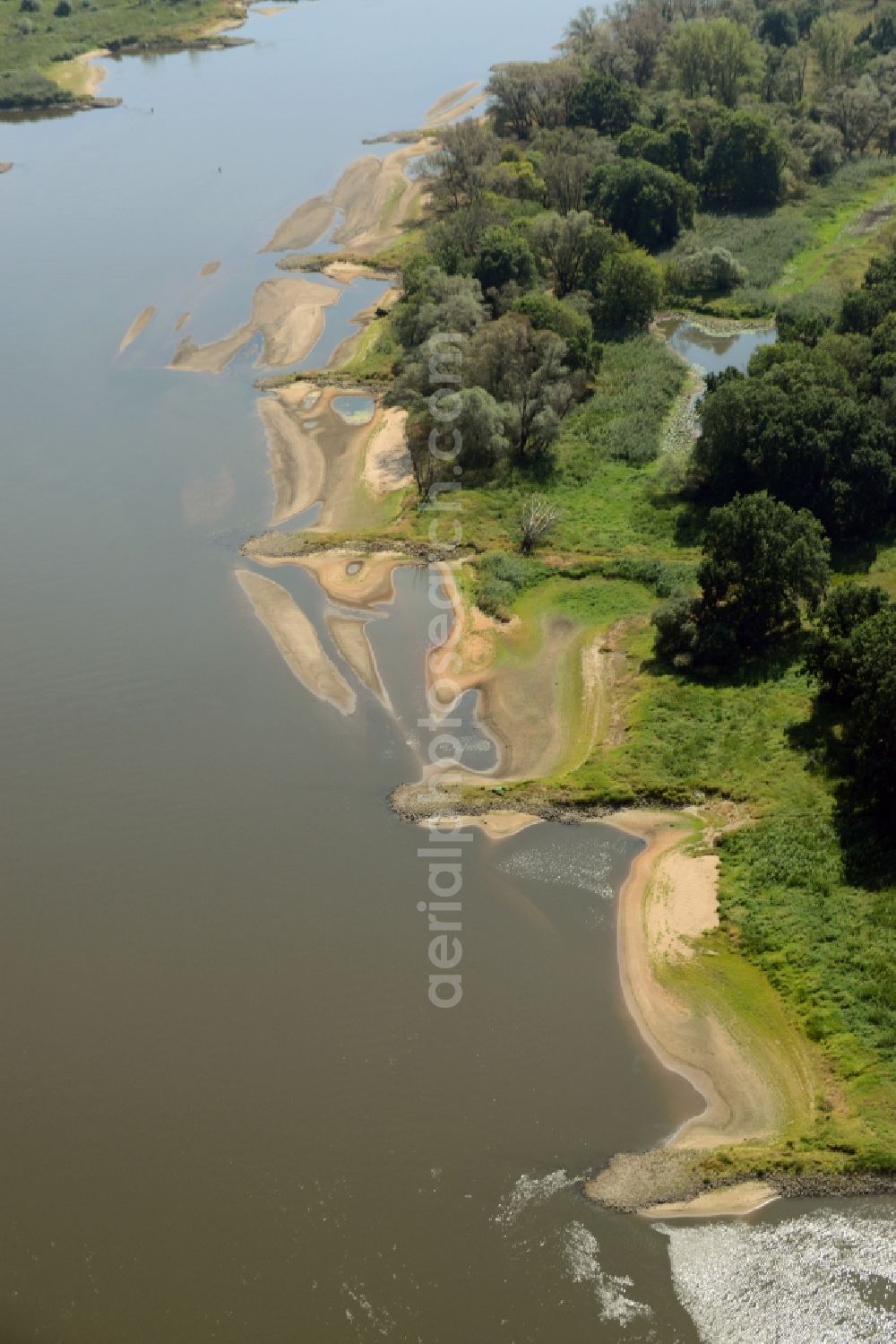 Aerial photograph Swiecko - Groyne head of the Oder river course in Swiecko in Poland