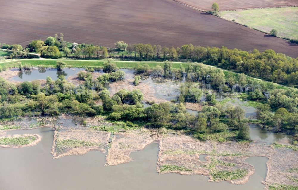 Aerial photograph Lebus - Groyne head of the of Oof river course in Lebus in the state Brandenburg