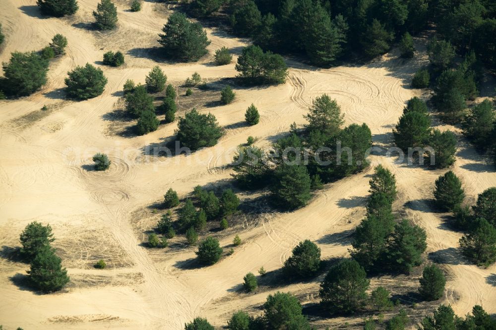 Aerial image Spreenhagen - Trees on a sandy clearing in the South of the borough of Spreenhagen in the state of Brandenburg. Conifer trees are standing on the sand