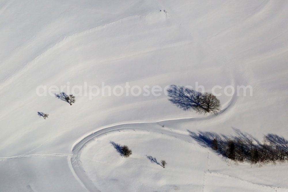 Schopfheim from above - Tree with shadow on a snow covered field in Schopfheim in the state Baden-Wuerttemberg