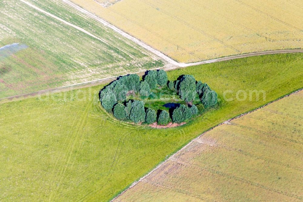 Rhodon from above - Trees around a small, urond pond on a field in Rhodon in Centre-Val de Loire, France