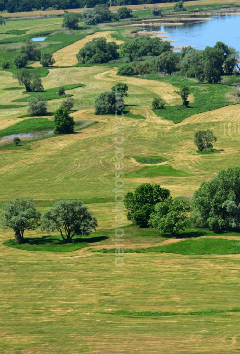 Aerial photograph Hansestadt Werben (Elbe) - Trees and meadows on the riverbank of the river Elbe in Hansestadt Werben (Elbe) in the state Saxony-Anhalt