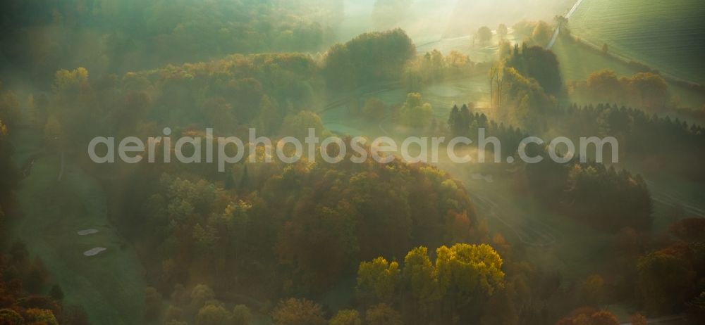 Kettwig from the bird's eye view: Colorful trees on an autumnal field in Heidhausen in the state of North Rhine-Westphalia