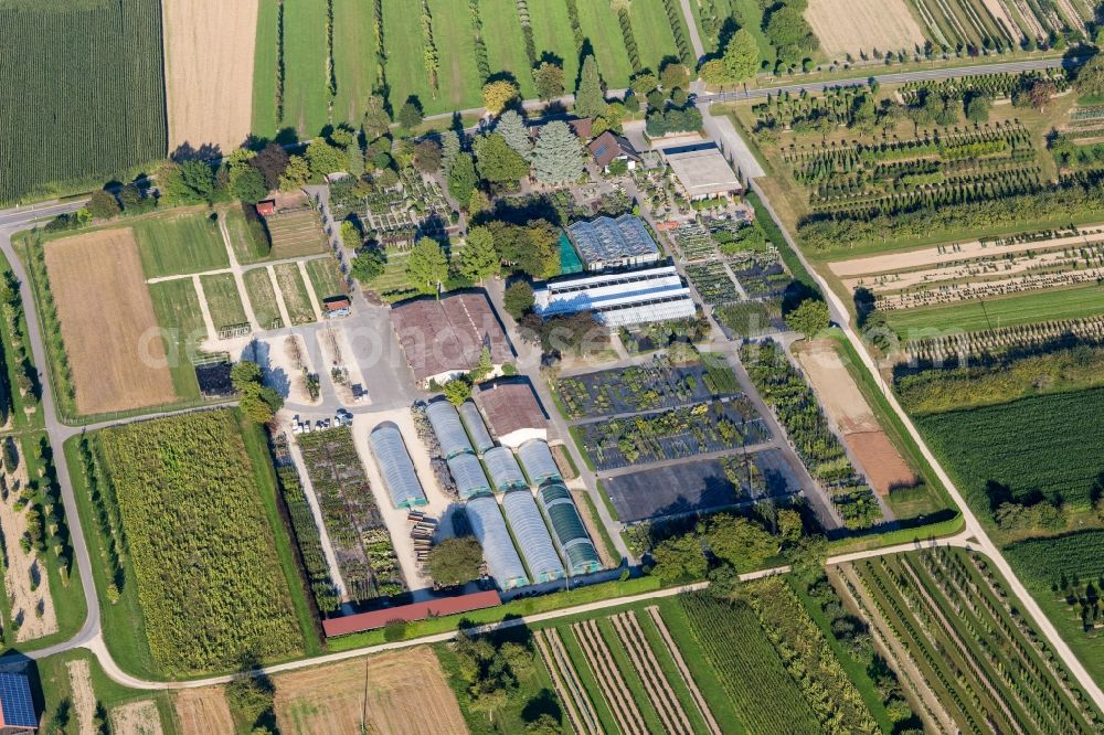 Steißlingen from above - Colorful bedding rows on a field for flowering of Ammann Gartenkultur GmbH in Steisslingen in the state Baden-Wurttemberg, Germany