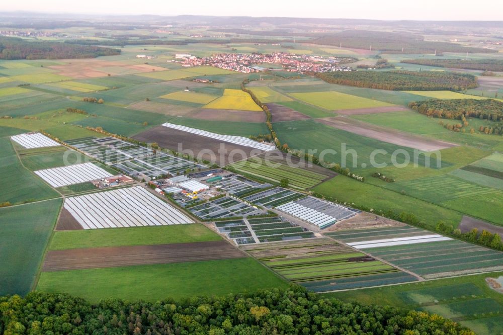 Aerial photograph Gochsheim - Colorful bedding rows on a field for flowering of Gaertnerei Dieter Denzer in Gochsheim in the state Bavaria, Germany