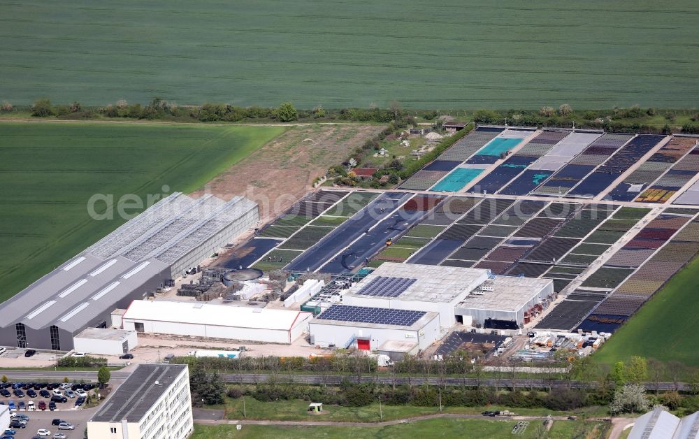 Aerial photograph Erfurt - Colorful bedding rows on a field for flowering Handelsgartnerei Pfeifer GmbH on Kuehnhaeuser Strasse in the district Mittelhausen in Erfurt in the state Thuringia, Germany