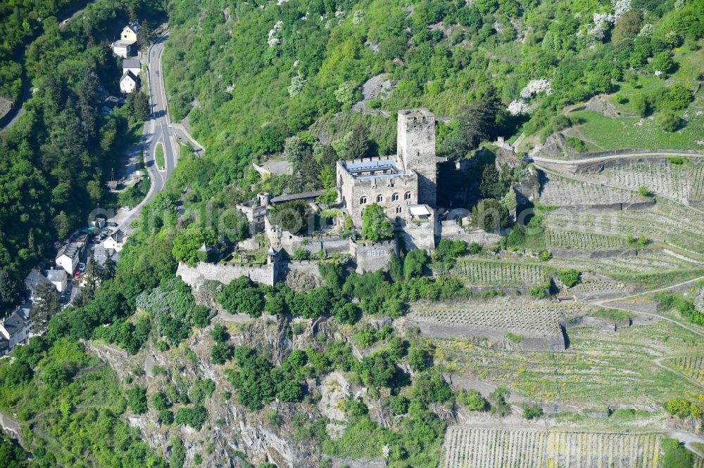 Kaub from the bird's eye view: Castle of the fortress Burg Gutenfels on Schlossweg in Kaub in the state Rhineland-Palatinate, Germany