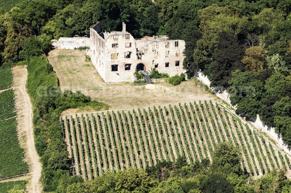 Oppenheim from the bird's eye view: Castle of the fortress Landskron in Oppenheim in the state Rhineland-Palatinate, Germany