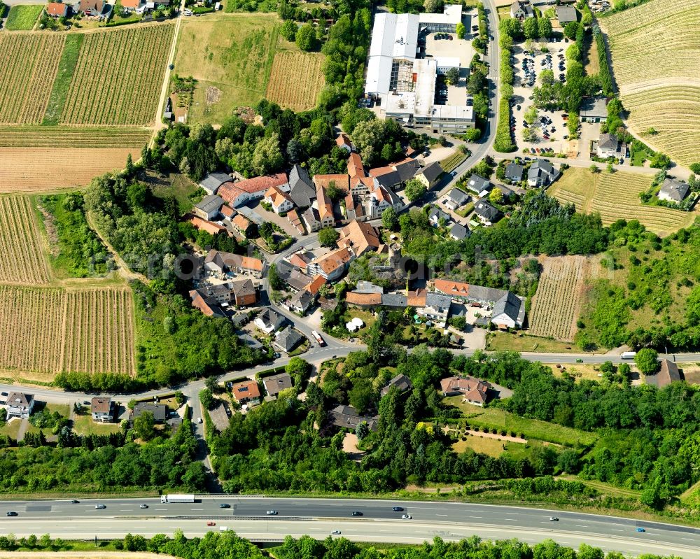 Aerial image Rümmelsheim - View of the castle Layen in Ruemmelsheim in the state Rhineland-Palatinate