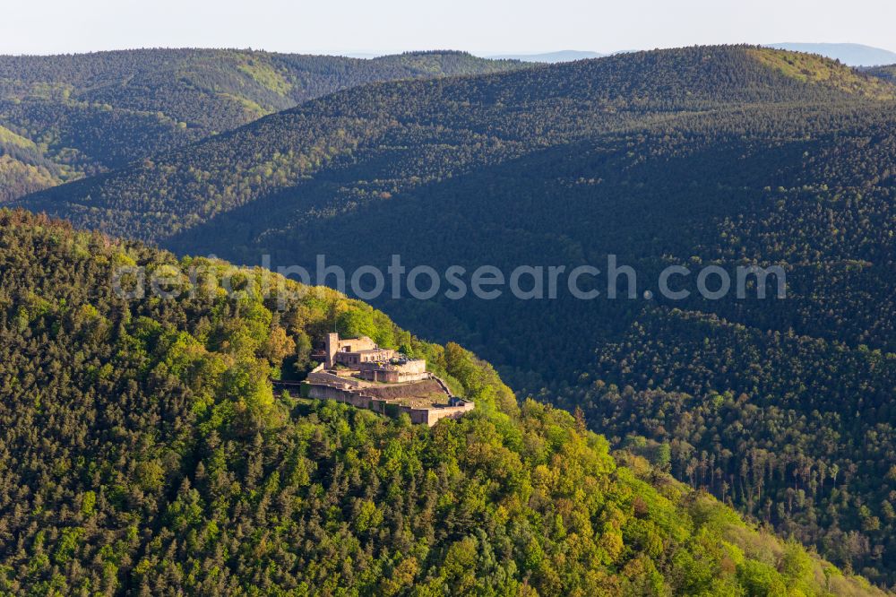 Aerial photograph Rhodt unter Rietburg - Castle of the fortress Rietburg in Rhodt unter Rietburg in the state Rhineland-Palatinate, Germany