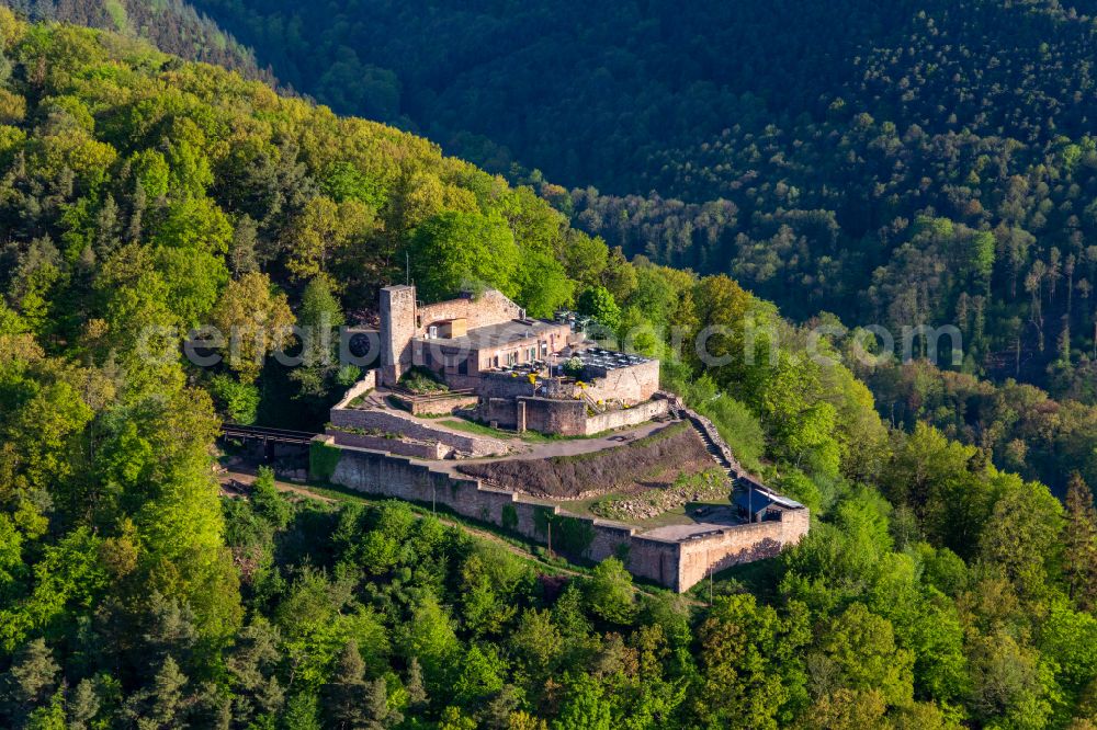 Rhodt unter Rietburg from above - Castle of the fortress Rietburg in Rhodt unter Rietburg in the state Rhineland-Palatinate, Germany