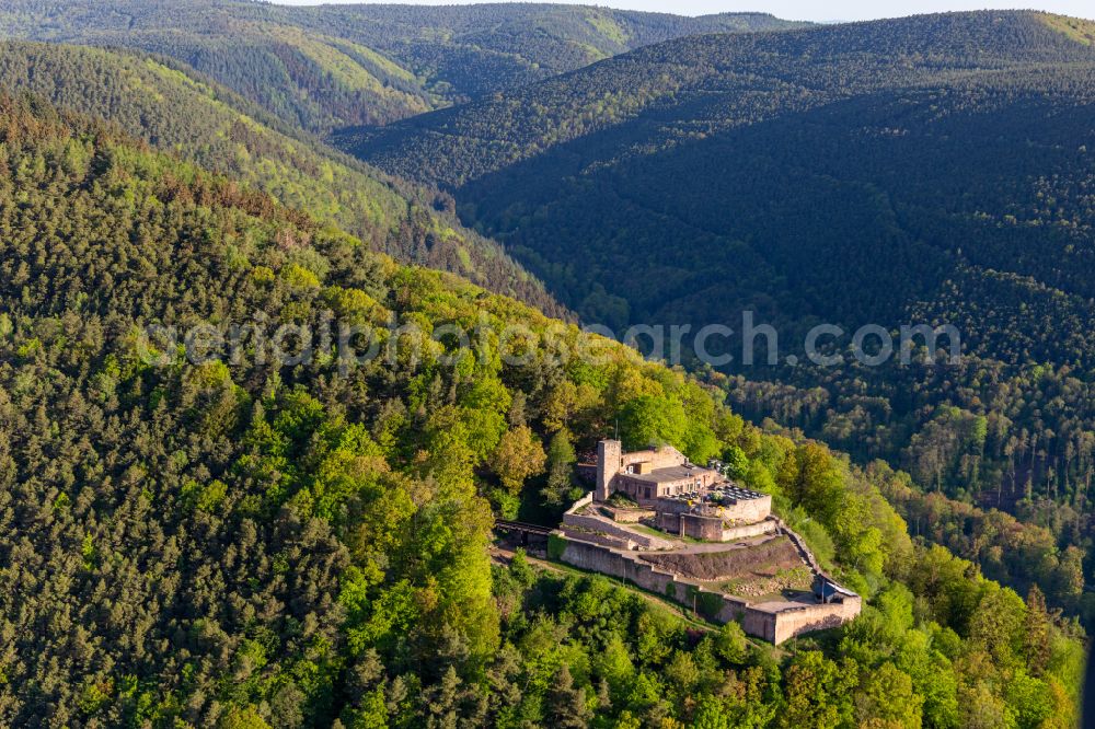 Rhodt unter Rietburg from the bird's eye view: Castle of the fortress Rietburg in Rhodt unter Rietburg in the state Rhineland-Palatinate, Germany