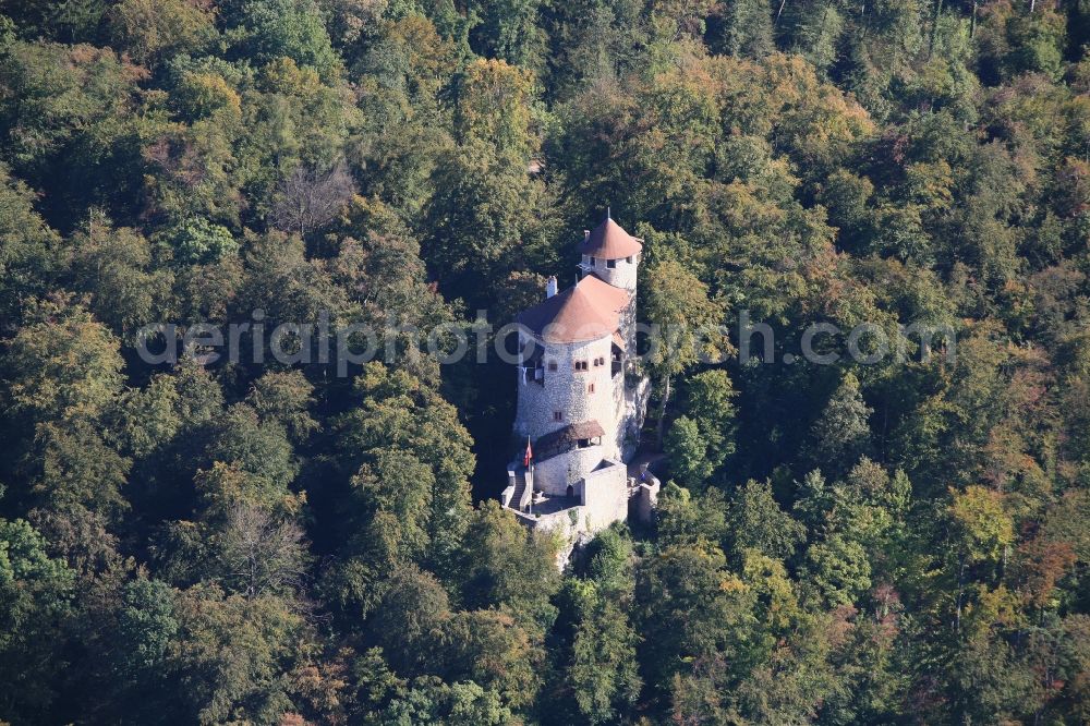 Arlesheim from the bird's eye view: Castle of the fortress Burg Reichenstein in Arlesheim in Basel-Landschaft, Switzerland