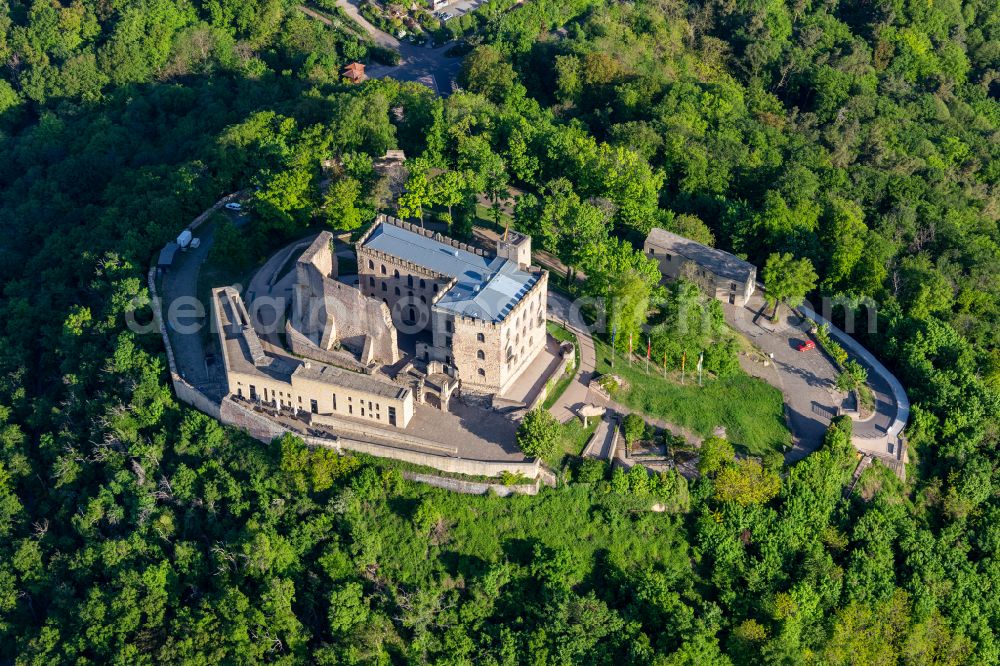 Aerial photograph Neustadt an der Weinstraße - Castle of Hambacher Schloss in Neustadt an der Weinstrasse in the state Rhineland-Palatinate, Germany