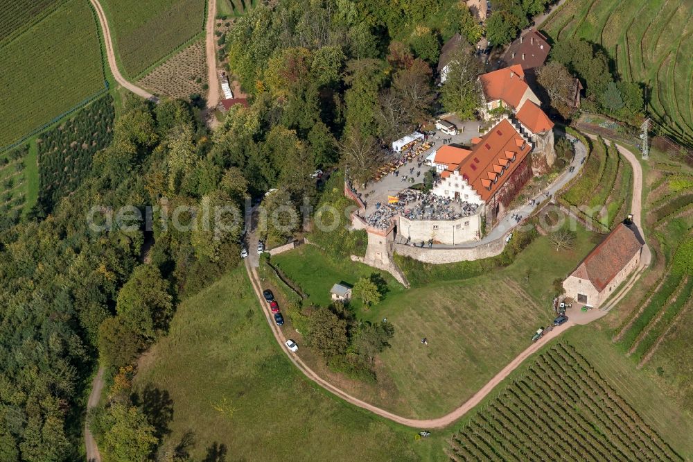 Aerial image Durbach - Castle of Schloss Burg Staufenberg in Durbach in the state Baden-Wuerttemberg, Germany