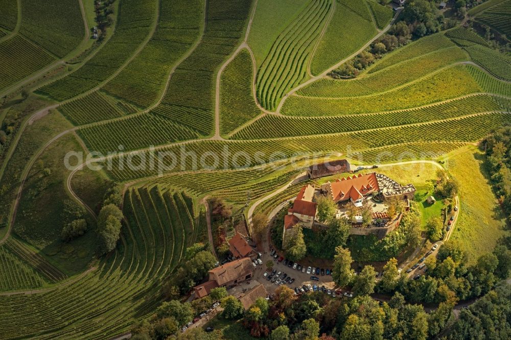 Durbach from the bird's eye view: Castle of Schloss Burg Staufenberg in Durbach in the state Baden-Wuerttemberg, Germany