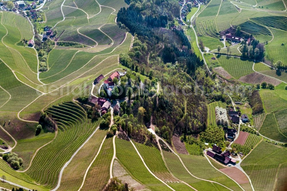 Durbach from above - Castle of Schloss - Burg Staufenberg in the district Ebersweier in Durbach in the state Baden-Wuerttemberg