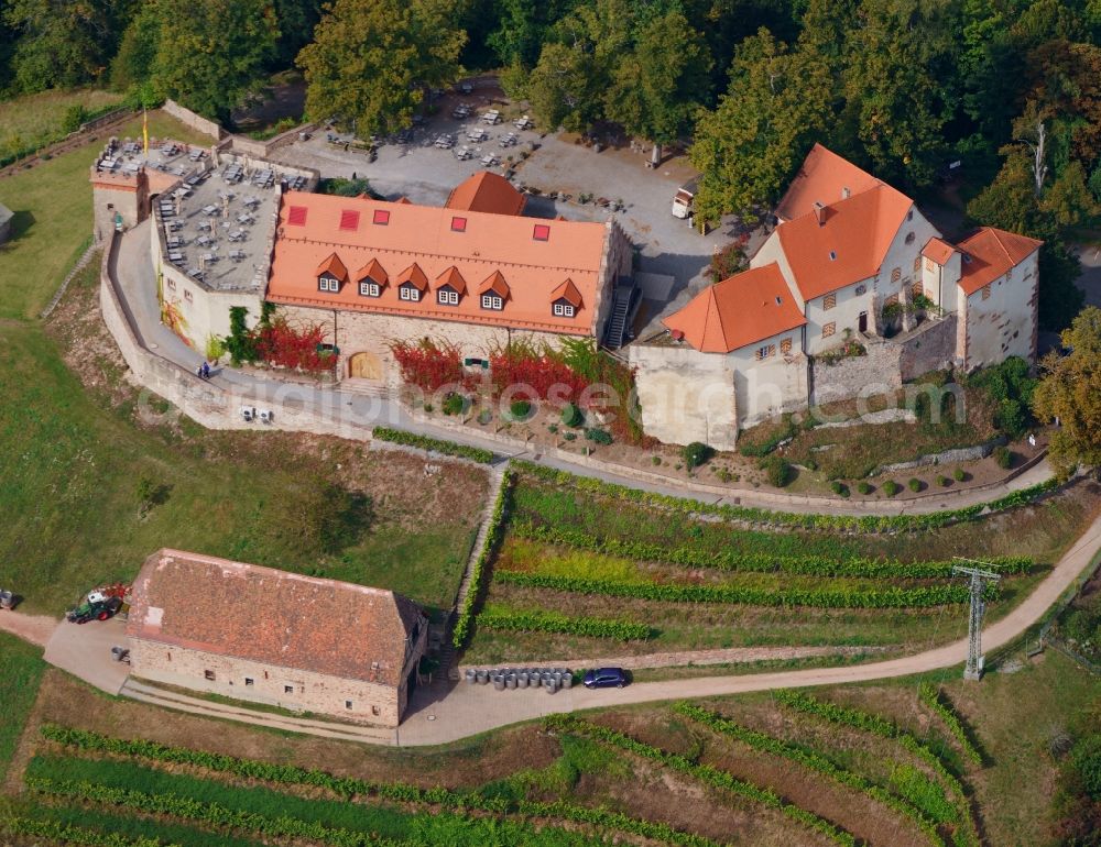 Aerial image Durbach - Castle of Schloss - Burg Staufenberg in the district Ebersweier in Durbach in the state Baden-Wuerttemberg