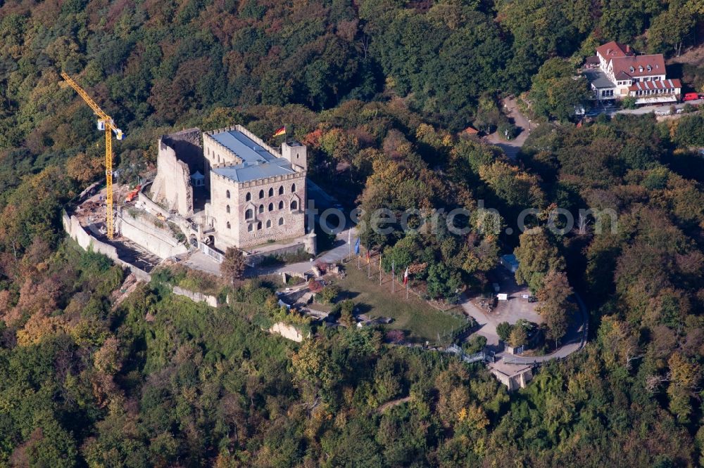 Aerial photograph Neustadt an der Weinstraße - Castle Hambach in Neustadt in the Weinstrasse in the state Rhineland-Palatinate