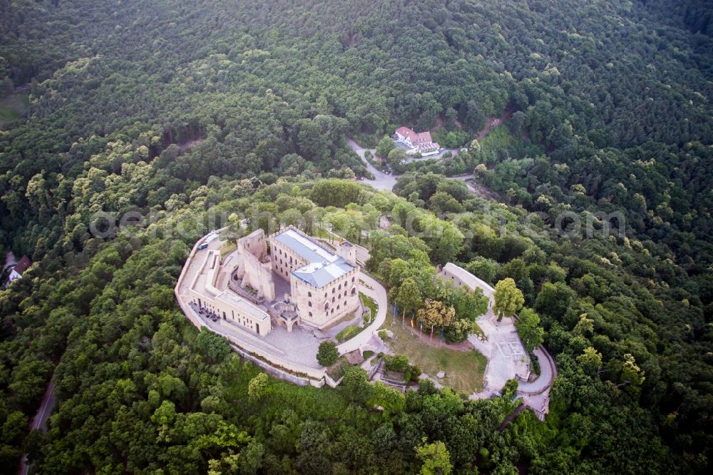 Aerial image Neustadt an der Weinstraße - Castle Hambach in Neustadt in the Weinstrasse in the state Rhineland-Palatinate