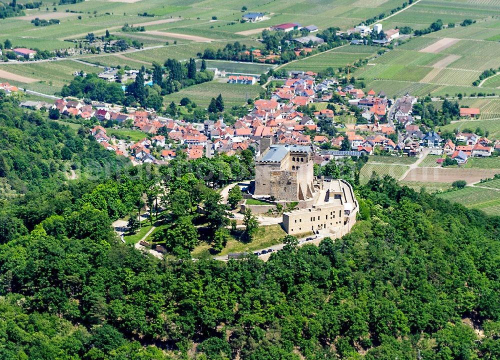 Aerial photograph Neustadt an der Weinstraße - Castle of Schloss in Neustadt an der Weinstrasse in the state Rhineland-Palatinate, Germany