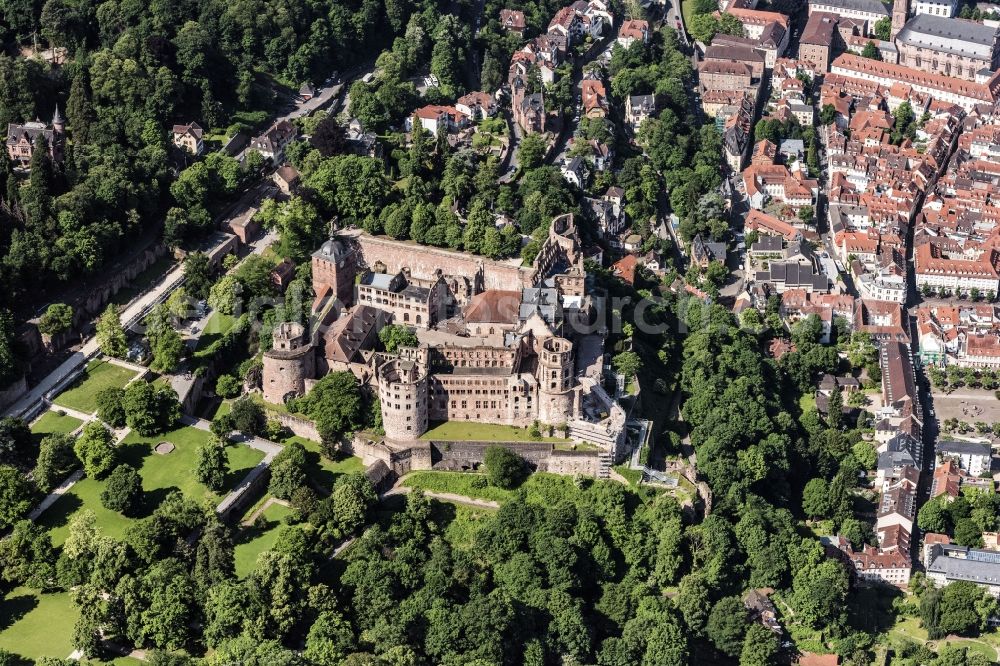 Heidelberg from the bird's eye view: Castle of Schloss Heidelberg in Heidelberg in the state Baden-Wuerttemberg, Germany