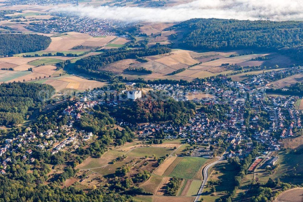 Lichtenberg from the bird's eye view: Castle of Lichtenberg in Lichtenberg in the state Hesse, Germany