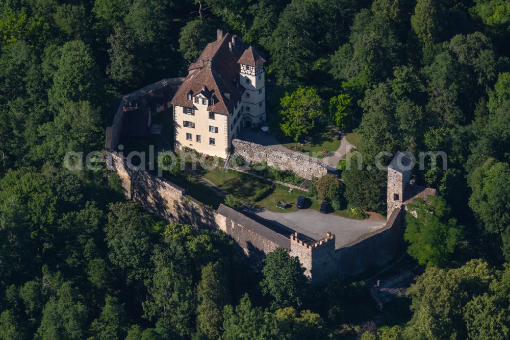 Radolfzell am Bodensee from the bird's eye view: Castle of Moeggingen in Radolfzell am Bodensee at Bodensee in the state Baden-Wuerttemberg, Germany