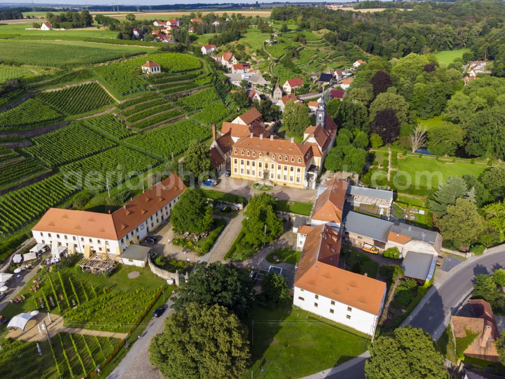 Aerial photograph Seusslitz - Castle of Seusslitz in Seusslitz in the state Saxony, Germany