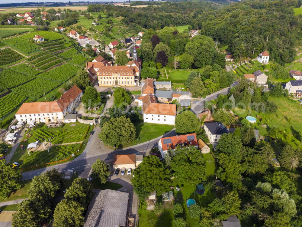 Seusslitz from above - Castle of Seusslitz in Seusslitz in the state Saxony, Germany