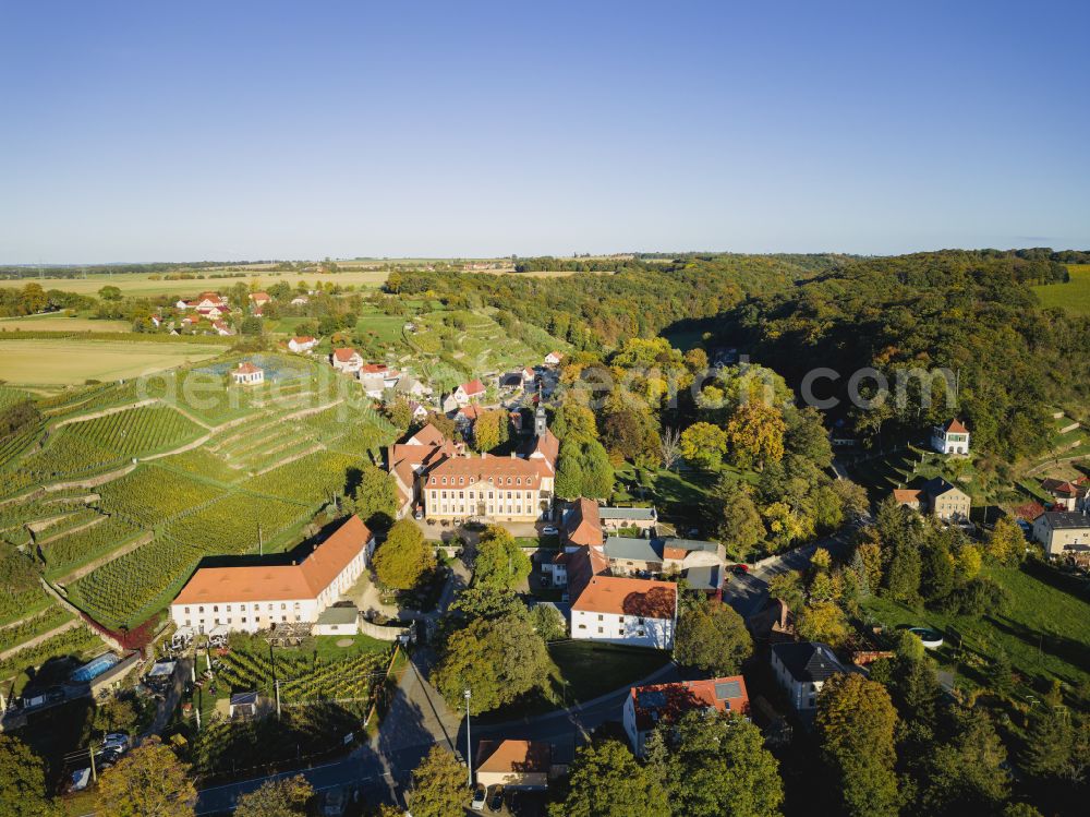 Seusslitz from the bird's eye view: Castle of Seusslitz in Seusslitz in the state Saxony, Germany