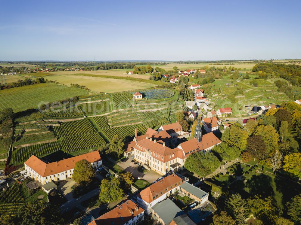 Aerial image Seusslitz - Castle of Seusslitz in Seusslitz in the state Saxony, Germany