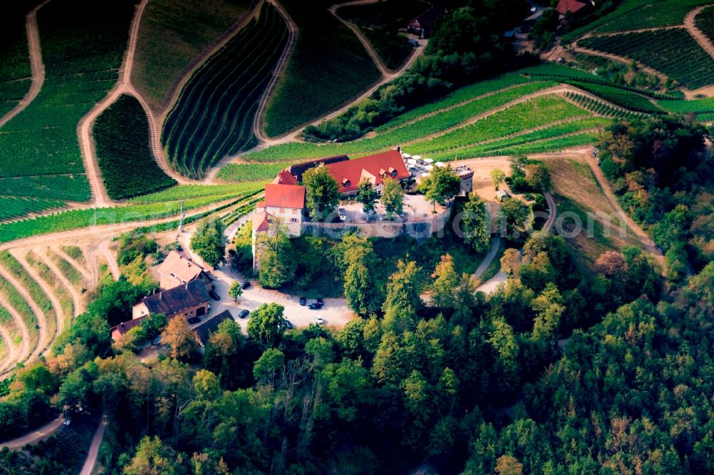 Aerial image Durbach - Castle of Schloss Staufenberg in Durbach in the state Baden-Wurttemberg, Germany