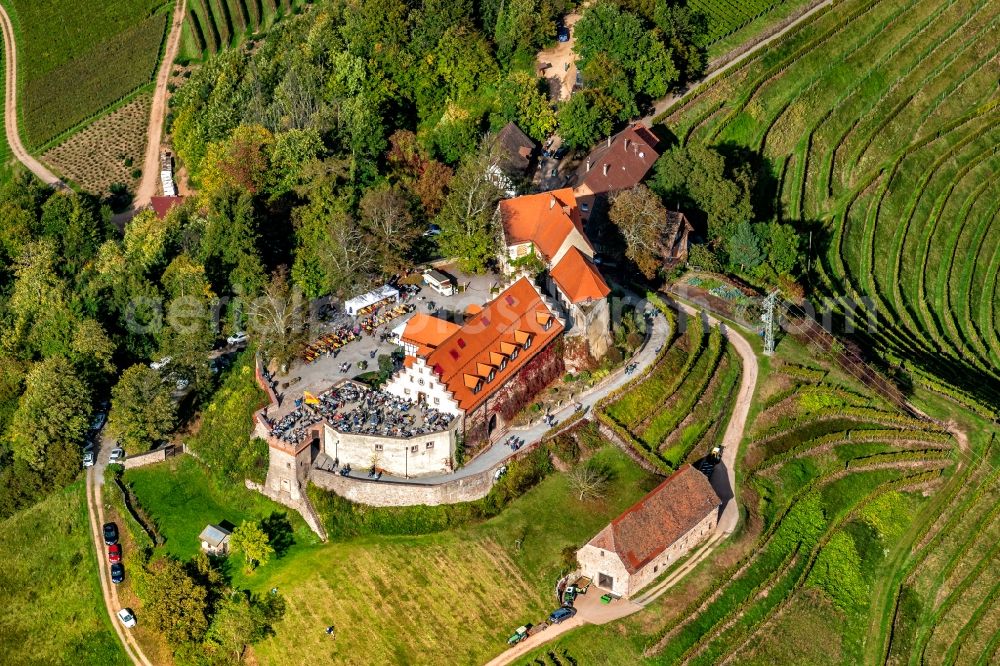 Durbach from the bird's eye view: Castle of Schloss Staufenberg in Durbach in the state Baden-Wurttemberg, Germany