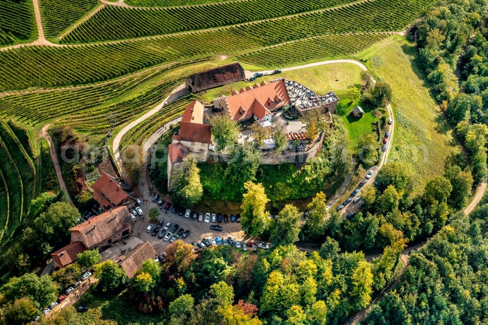 Aerial image Durbach - Castle of Schloss Staufenberg in Durbach in the state Baden-Wurttemberg, Germany