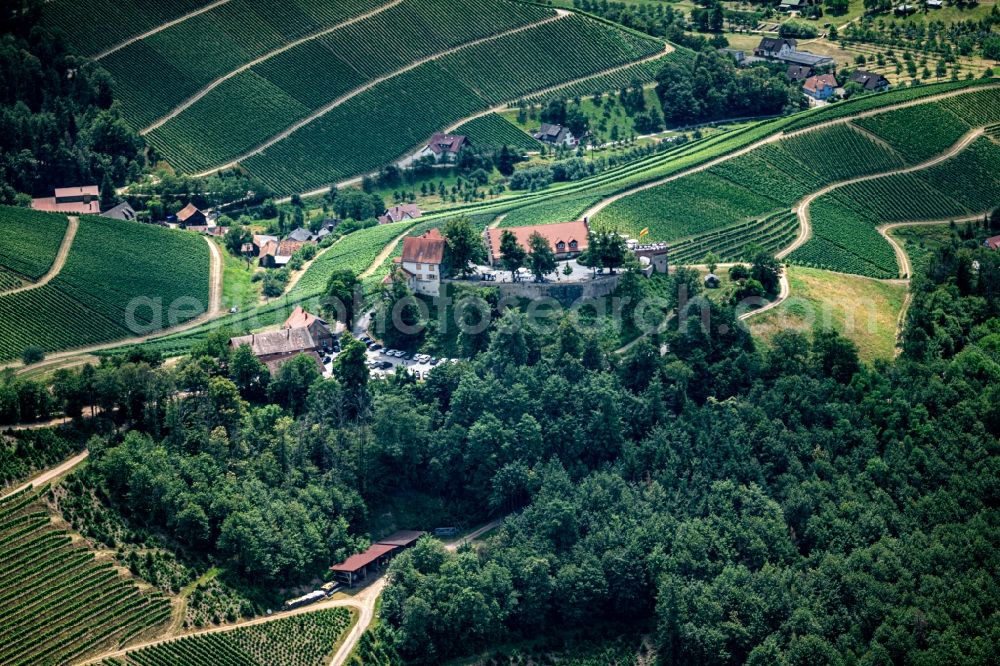 Durbach from above - Castle of Schloss Staufenberg in Durbach in the state Baden-Wurttemberg, Germany