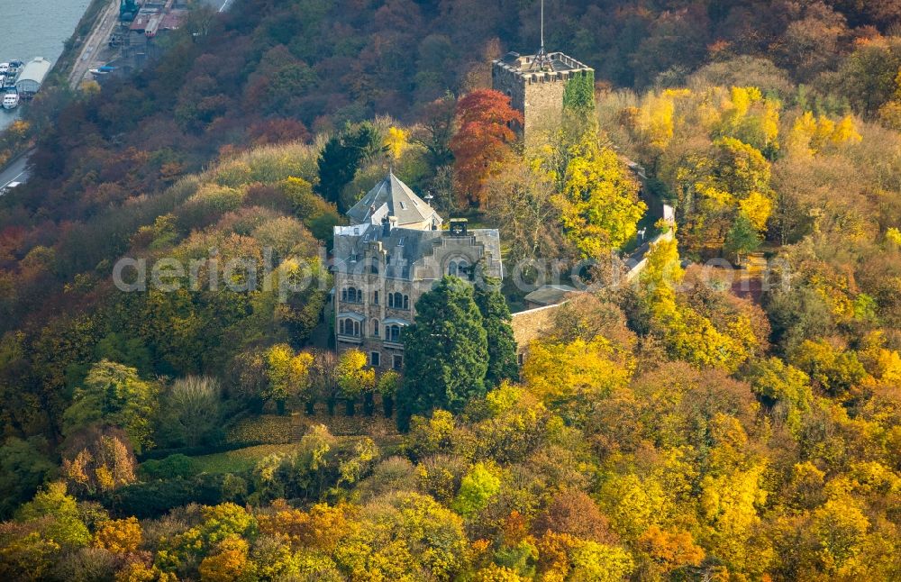 Bad Breisig from above - Castle of the fortress Burg Rheineck in Bad Breisig in the state Rhineland-Palatinate