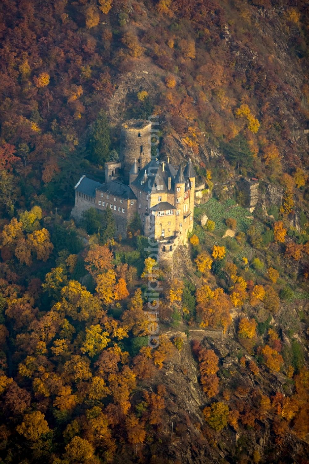 Sankt Goarshausen from above - Castle of the fortress Maus in Sankt Goarshausen in the state Rhineland-Palatinate