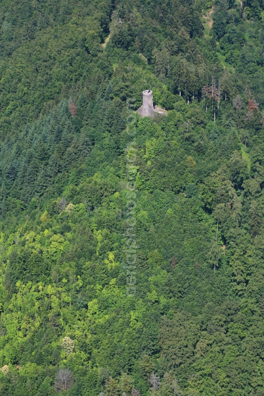 Wehr from the bird's eye view: Castle Baerenfels on the slopes of the Hotzenwald on the mount Steinegg in Wehr in Baden-Wuerttemberg. The ruins of the hilltop castle now serve as an observation tower overlooking Wehratal and Hochrhein