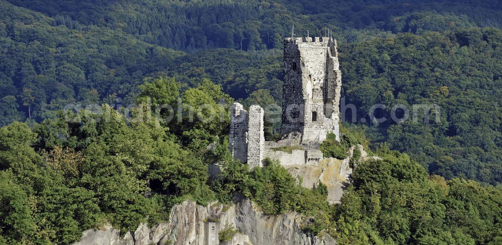 Aerial photograph Königswinter - Blick auf die Burgruine Drachenfels im Siebengebirge. Die Burg wurde im 12. Jahrhundert gebaut und befindet sich auf dem Berg Drachenfels. View of the ruins of the Castle Drachenfels in the Siebengebirge. The castle was built in the 12th Century and is located on Mount Drachenfels.