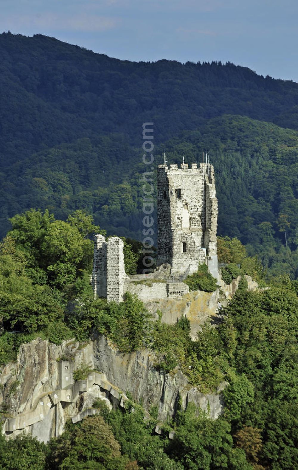 Königswinter from the bird's eye view: Blick auf die Burgruine Drachenfels im Siebengebirge. Die Burg wurde im 12. Jahrhundert gebaut und befindet sich auf dem Berg Drachenfels. View of the ruins of the Castle Drachenfels in the Siebengebirge. The castle was built in the 12th Century and is located on Mount Drachenfels.