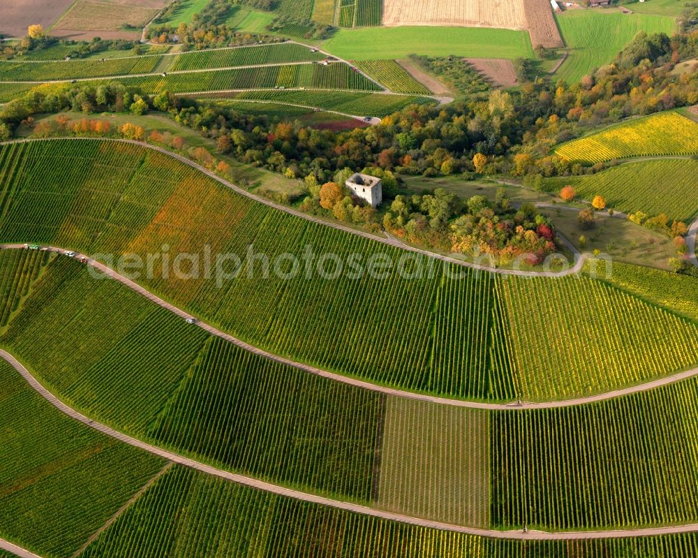 Ilsfeld from above - Ruins of the castle Helfenberg in Ilsfeld in the state of Baden-Wuerttemberg. The ruins of a medieval high fortress are located on a hill above the Helfenberg part of Ilsfeld. The hill is used as a vineyard. The castle was built in the 13th century, the ruins are open to the public