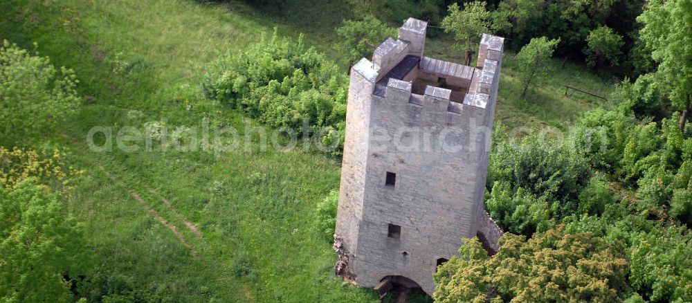 Tautenburg from the bird's eye view: Blick auf die Burgruine Tautenburg. Die Burgruine liegt etwa elf Kilometer nordöstlich von Jena inmitten des Tautenburger Forstes auf einem kleinen Bergsporn und besteht seit etwa dem 12. Jahrhundert. View of the ruins castle ruin of Tautenburg. The castle is situated about seven miles northeast of Jena in the middle of the Tautenburg forest on a small mountain spur and has existed since about the 12th Century.