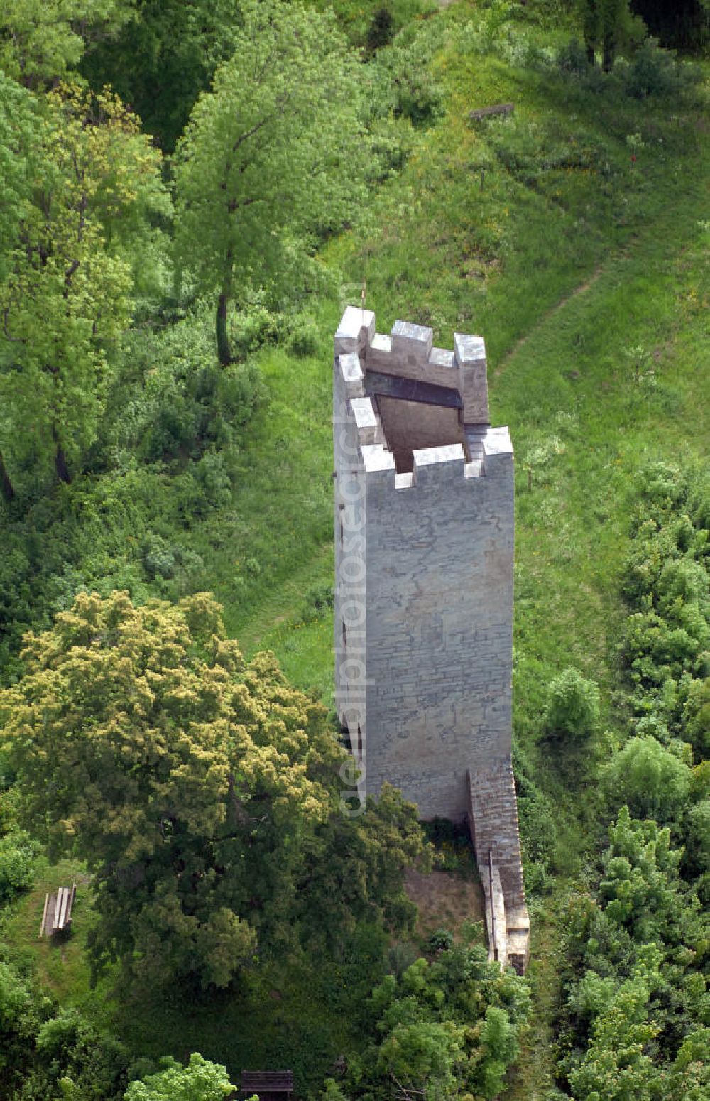 Tautenburg from the bird's eye view: Blick auf die Burgruine Tautenburg. Die Burgruine liegt etwa elf Kilometer nordöstlich von Jena inmitten des Tautenburger Forstes auf einem kleinen Bergsporn und besteht seit etwa dem 12. Jahrhundert. View of the ruins castle ruin of Tautenburg. The castle is situated about seven miles northeast of Jena in the middle of the Tautenburg forest on a small mountain spur and has existed since about the 12th Century.