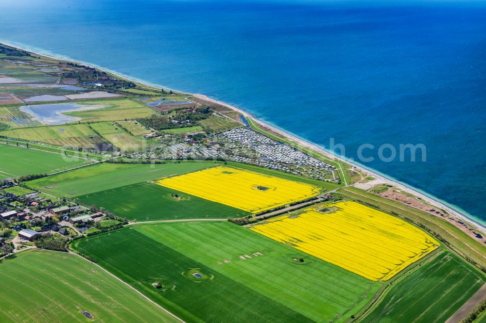 Fehmarn from the bird's eye view: Campsite with caravans and tents in the coastal area Bojendorf Campingplatz Wallnau in Fehmarn on the island of Fehmarn in the state Schleswig-Holstein, Germany